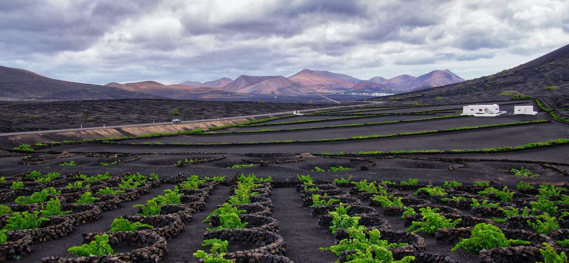 0 Lanzarote-A Unique Blend of Volcanic Wine-Making Culture - article cover