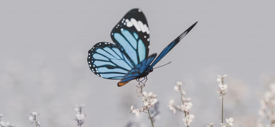 From Butterflies to Balance- The Stages of Healthy Love - cover