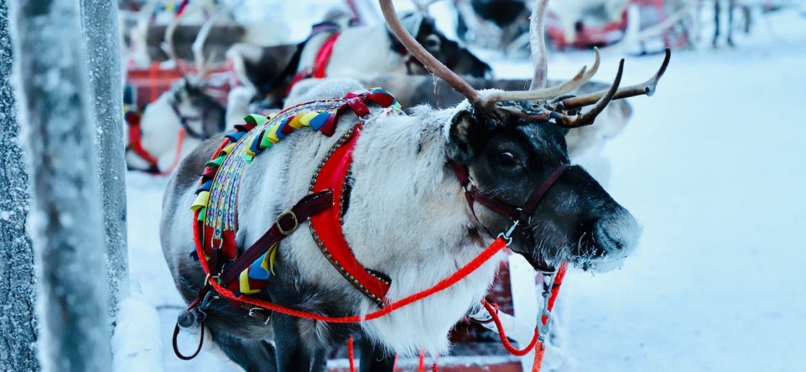 1-santa-claus-reindeers