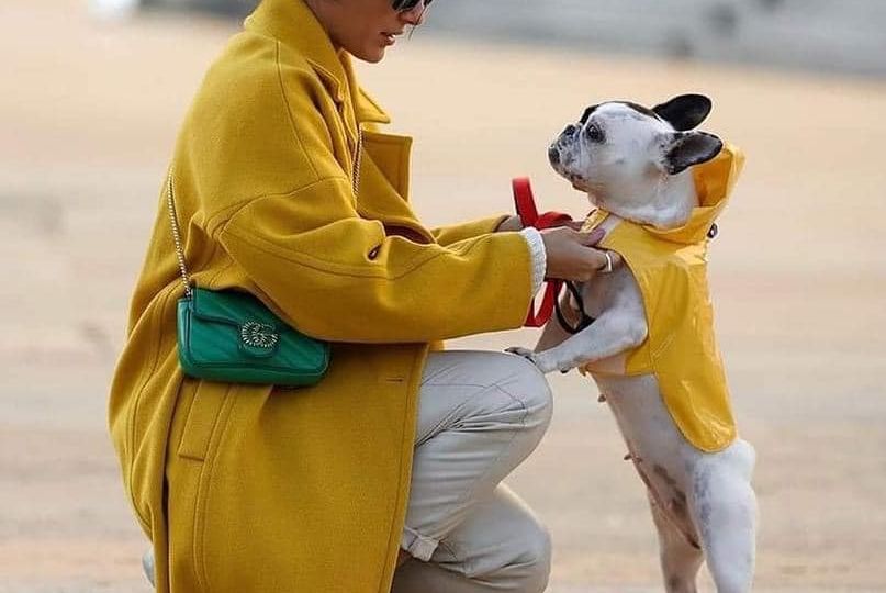 Laidy and pet in matching classic winter yellow copy