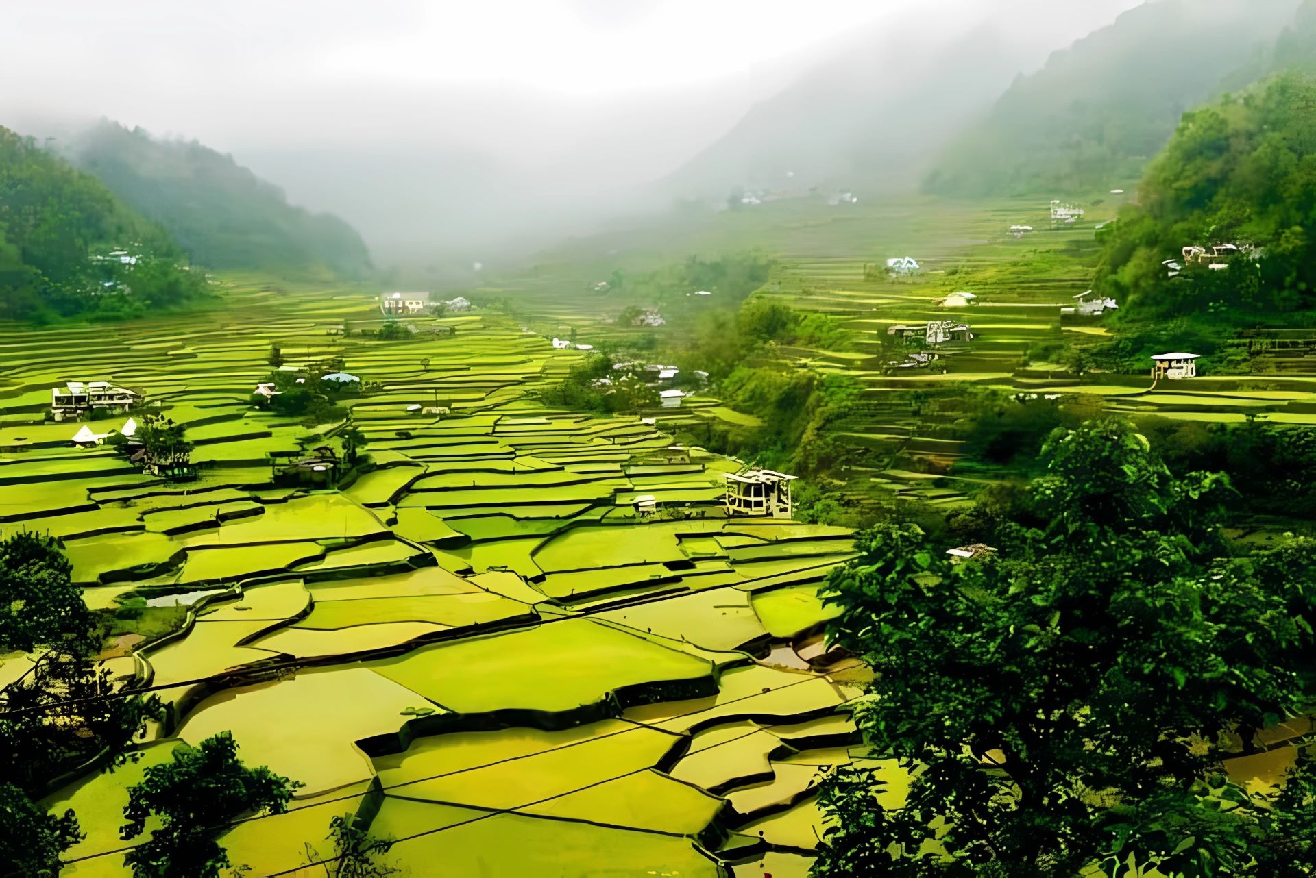 Discovering the Natural Wonders of the Philippines