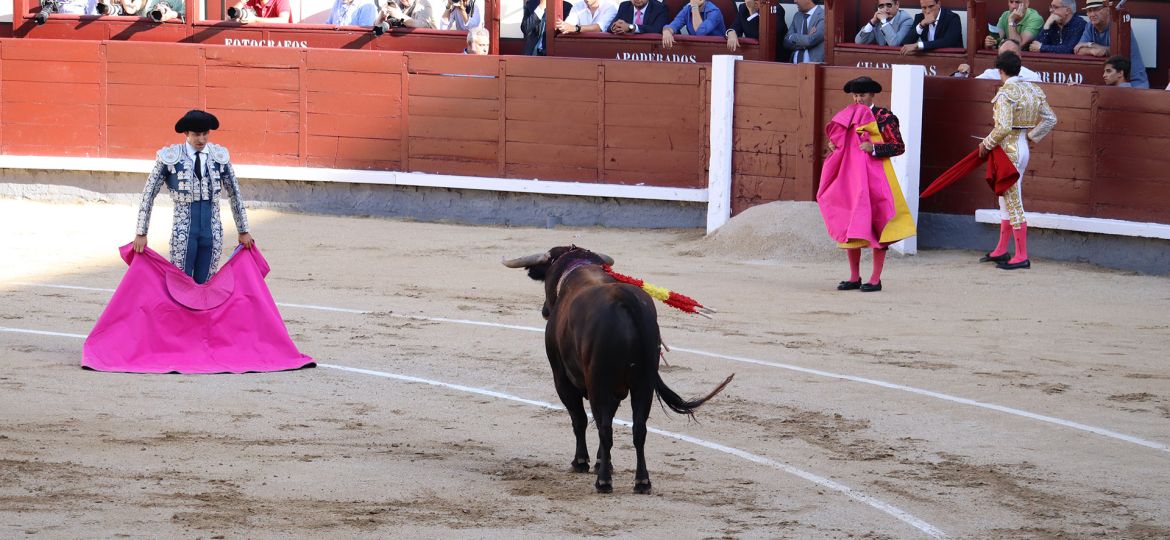 Cover Bullfight-A Personal Experience at Las Ventas-A Reflection on Culture and Cruelty