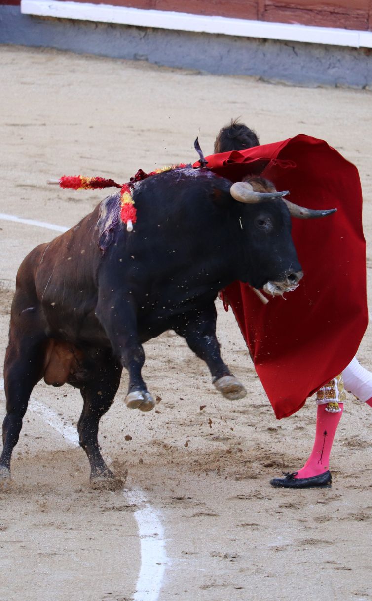 IMG_4818-cover-bullfight-Las-ventas-corida