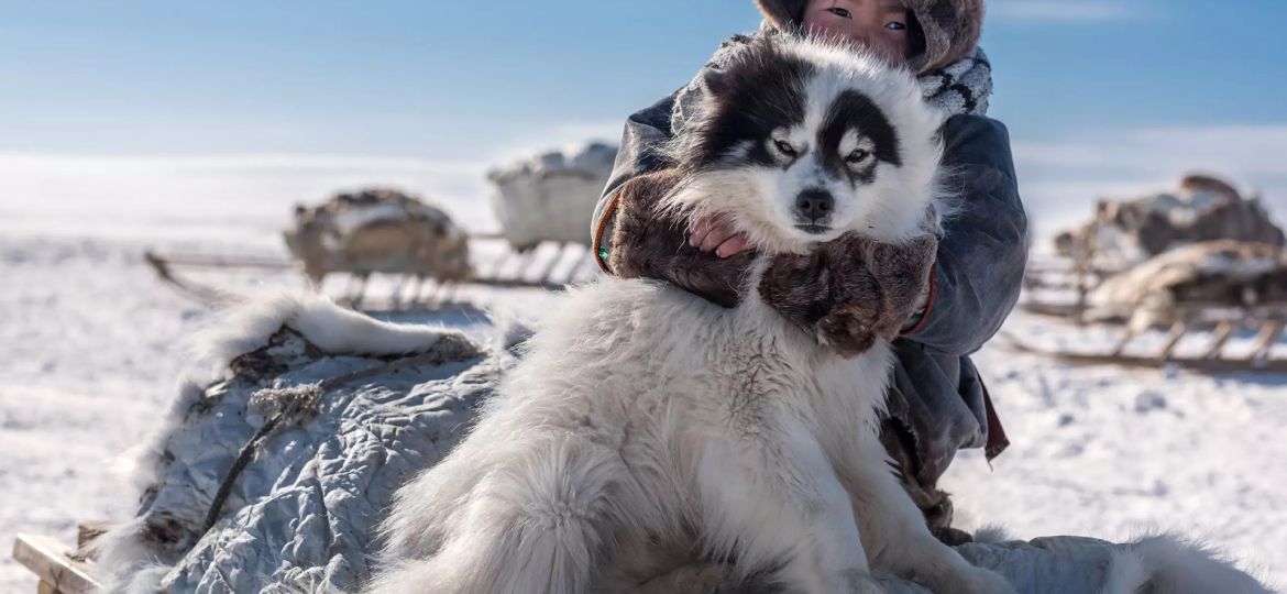 Nenets Reindeer Herders-cover