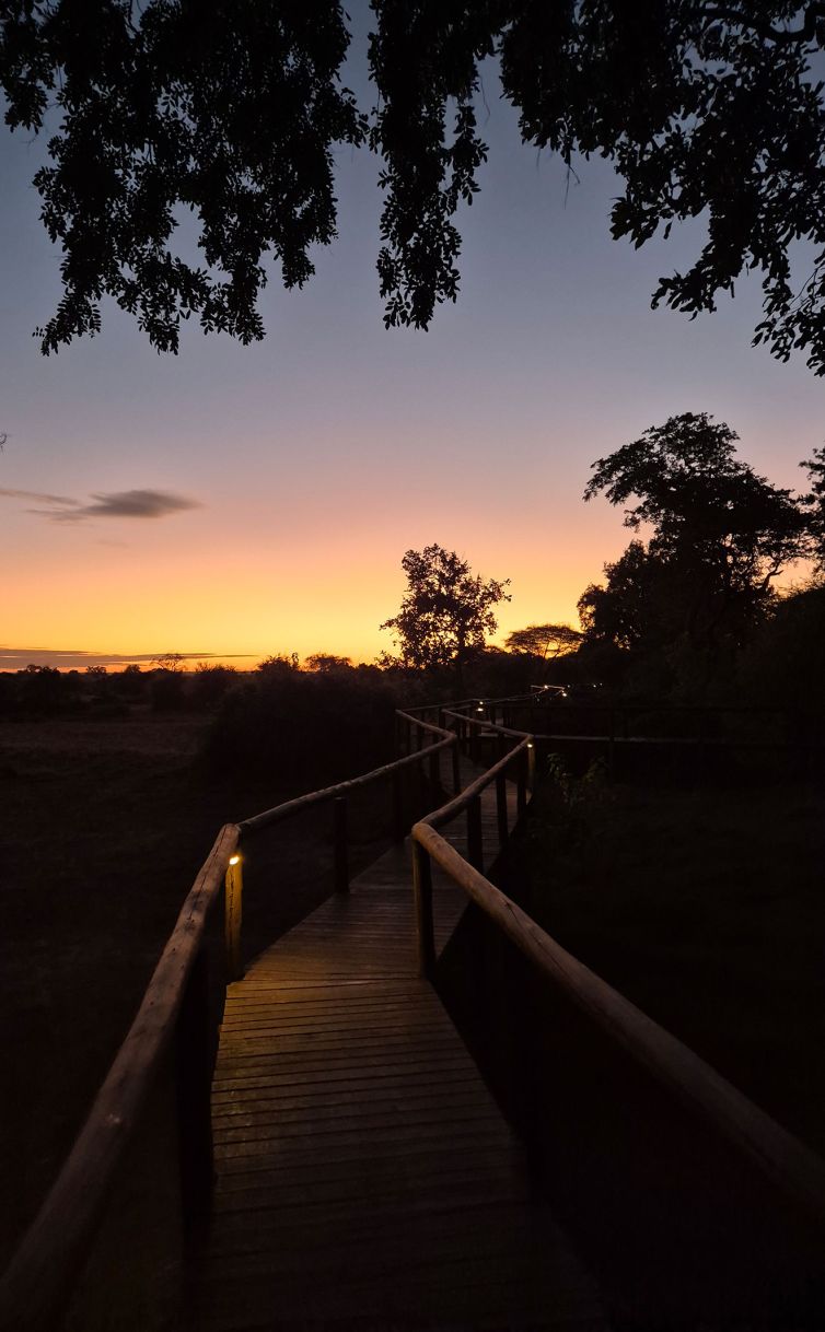 Pafuri-Camp-South-Africa-wild-safari-all-inclusive2
