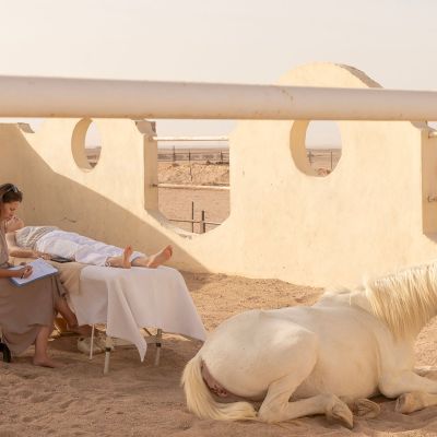 Cover---Soul-Stride-A-Horse-Retreat-in-the-Egyptian-Desert